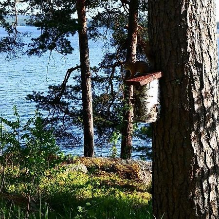 Club House Hotelli Kaipolan Ranta Jämsä Eksteriør bilde