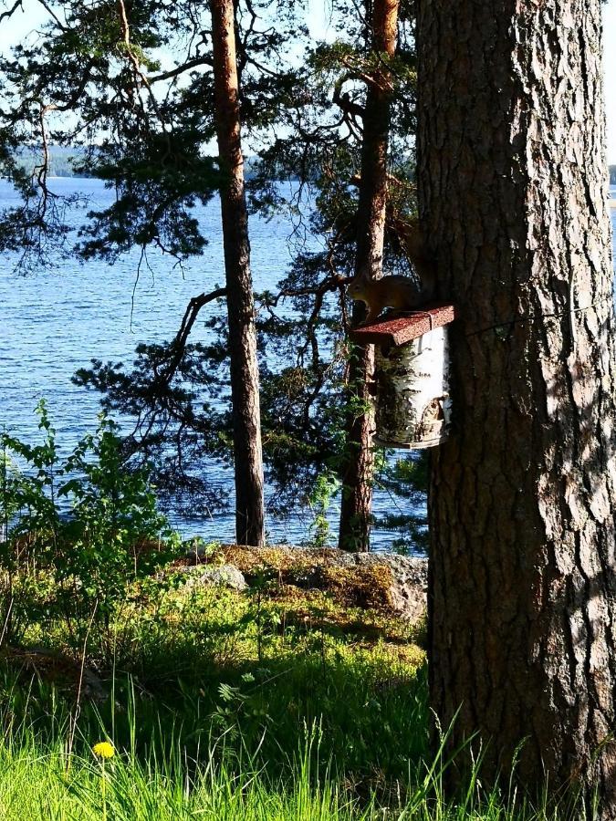 Club House Hotelli Kaipolan Ranta Jämsä Eksteriør bilde